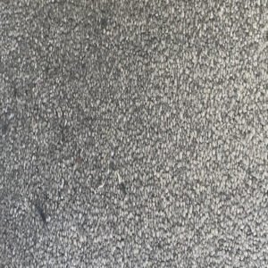 Dolphin - Easy Living Opulence - Kellars Carpets